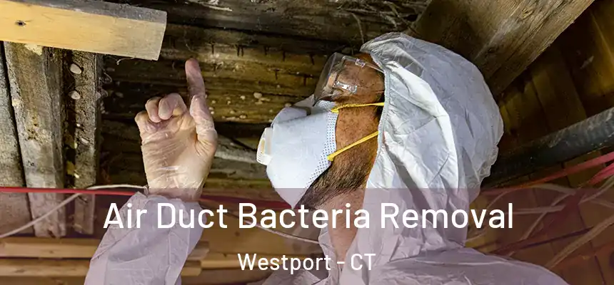  Air Duct Bacteria Removal Westport - CT