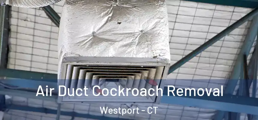  Air Duct Cockroach Removal Westport - CT