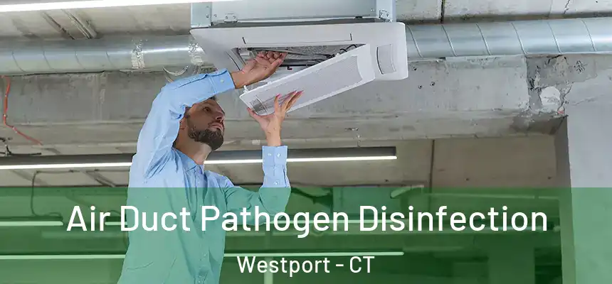  Air Duct Pathogen Disinfection Westport - CT