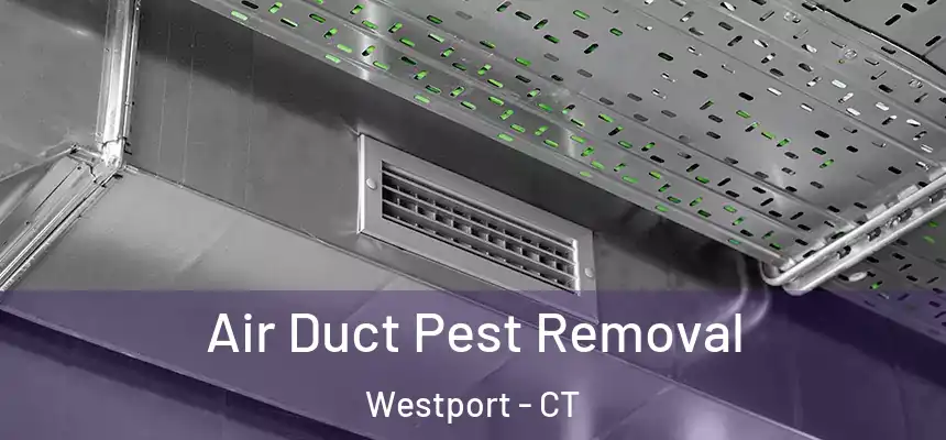  Air Duct Pest Removal Westport - CT