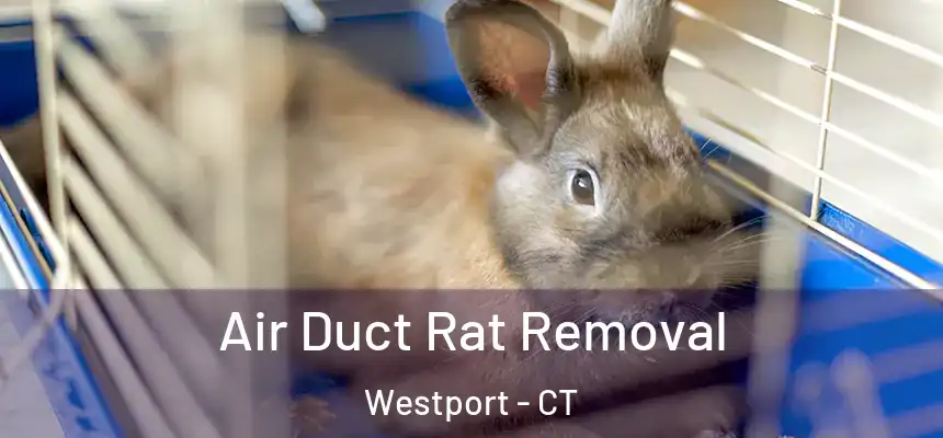  Air Duct Rat Removal Westport - CT