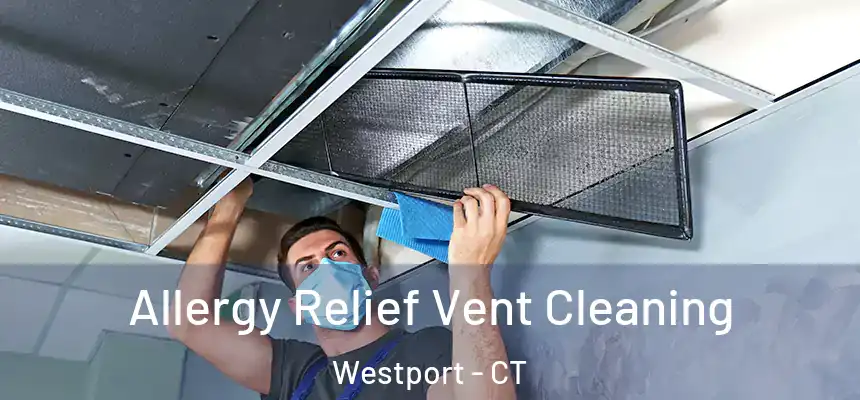  Allergy Relief Vent Cleaning Westport - CT