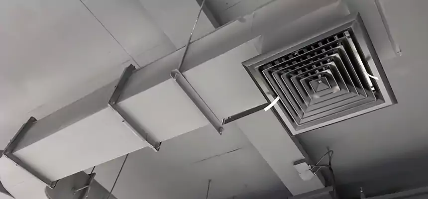 Restorative Allergy Relief Vent Cleaning – Coil, Blower & Housing Detail in Westport