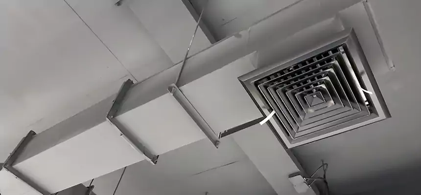 Our Rodent Droppings In Vents Services in Westport, CT