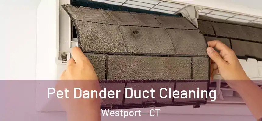  Pet Dander Duct Cleaning Westport - CT