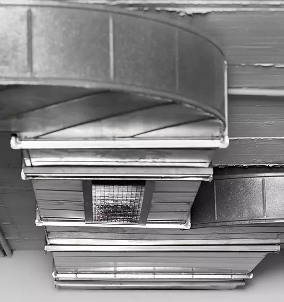 Professional Air Duct Pest Removal in Westport, CT