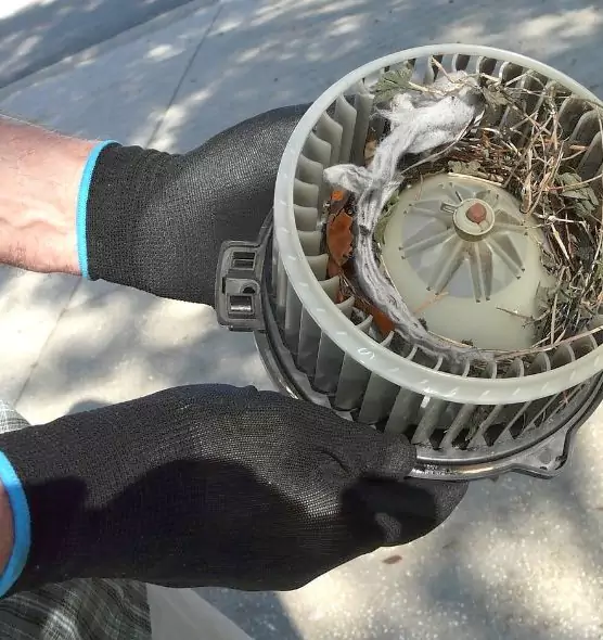 About Air Duct Rat Removal in Westport, CT