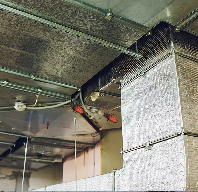 Why Homeowners & Businesses Trust Us in Westport, CT?