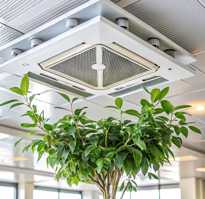 Why Homeowners & Businesses Trust Us in Westport, CT